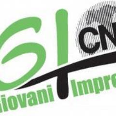 gioCNAtorino's profile picture. Gruppo Giovani Imprenditori e Artigiani CNA Torino