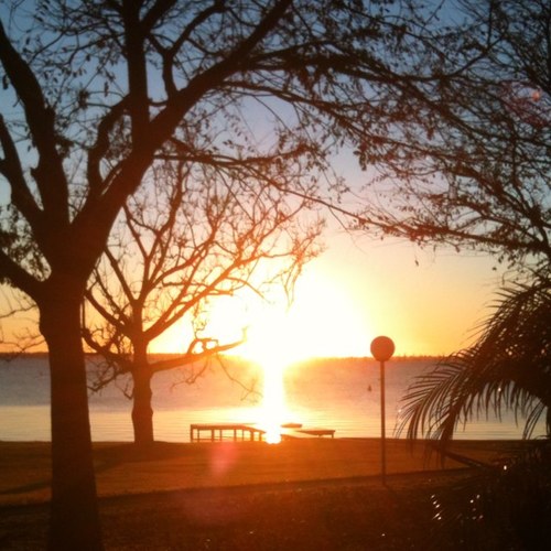 AdamPet87906150's profile picture. 