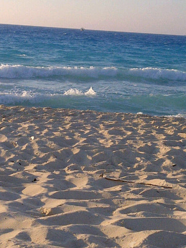 Fexforjunior's profile picture. @Xforjunior ♥ | I'm not related to @xforjuniorfacts or @sexforjunior by all means!