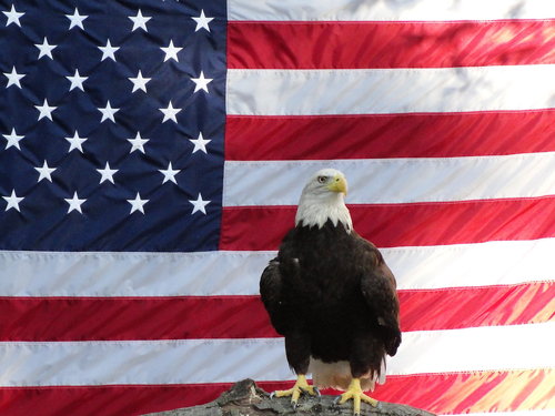following God and trying to save our country