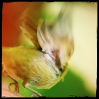 lucia165's profile picture. 睡眠、食事、入浴、愛、水分