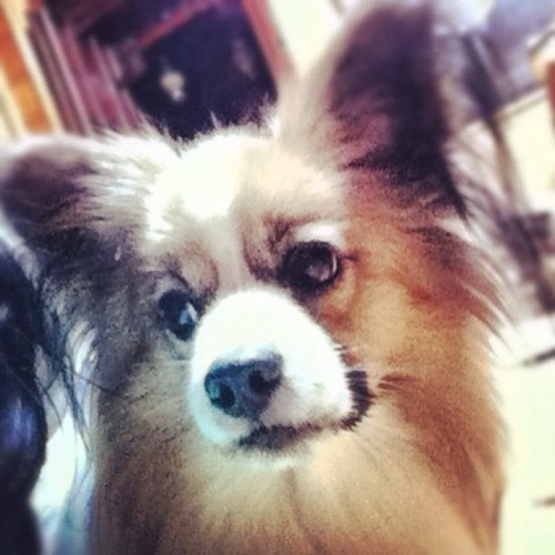 cloudlifehacks's profile picture. 