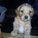 Vernon Browne - @BrowneVernon - Twitter