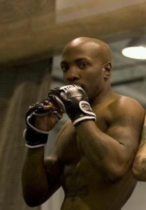 pitbulharper's profile picture. Dee nasty