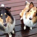 Nancy Janke - @JankeNancy - Twitter