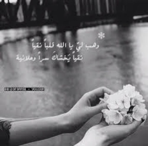 R0o0r0o01919's profile picture. من عمرنا أنفاس لاتعود...فلتكن لأنفاسنا حلاوه بالإستغفار 🌸