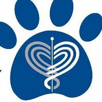 CNY Vet (@cnyvet) Twitter profile photo