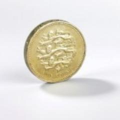 quidhostingcom's profile picture. 