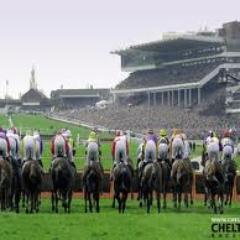 Ante-Post specialist on Cheltenham Festival