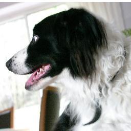 Laurabennett66's profile picture. 