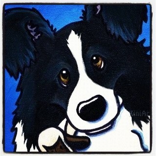 • workin to live • livin the dream • dreamin the life • just one mans dream to own a non-profit border collie rescue • BCBuddiez@Gmail.com •