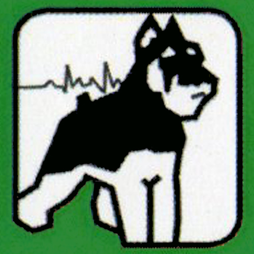 HOSPITAL VETERINARIO SAN FRANCISCO
12500, VINARÒS (CASTELLÓN)