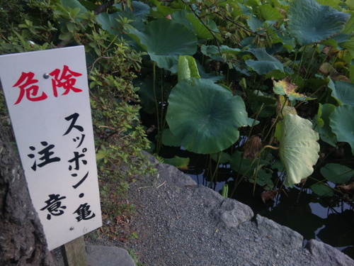 植物園に行きたい