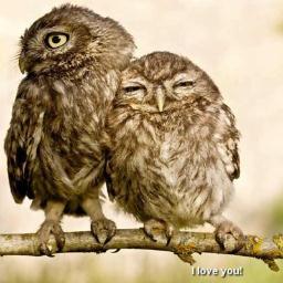 soniavigo1's profile picture. Amo a mis tres soles, me encanta el ciclismo  y por mis venas  corre sangre celeste!! Forza Celta!