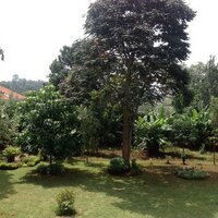 Ben Kipsang Chumo (@benchumo) 's Twitter Profile