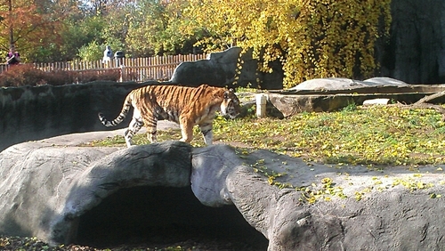 UncleCrumpty's profile picture. Lover of exquisite puns