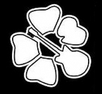 LadyMadonnaClub's profile picture. Campoamor 11, 6am Rock Club.