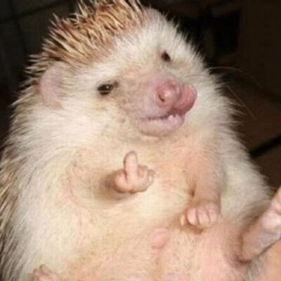 kccoVCR's profile image