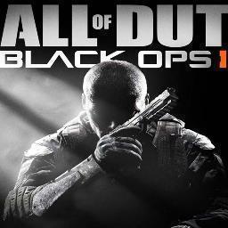 Professional cod no life, i try my best and give it my all