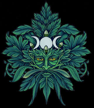 Jane53360774's profile picture. 