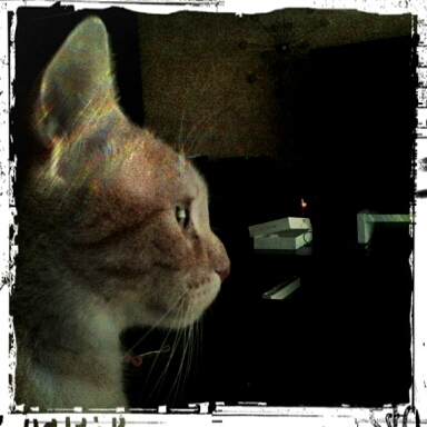 yolina81's profile picture. 