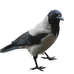 Helt oresonlig och ologisk på alla vis. Gillar filmer, listor & filmlistor.