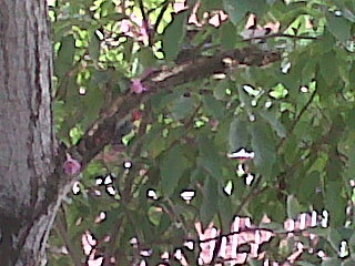 Marimarjacome's profile picture. Abogada/esposa/madre/trabajadora, todo en 1