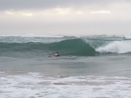 almorris100's profile picture. 