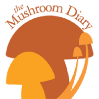 Mushroom Diary (@mushroomdiary) 's Twitter Profile
