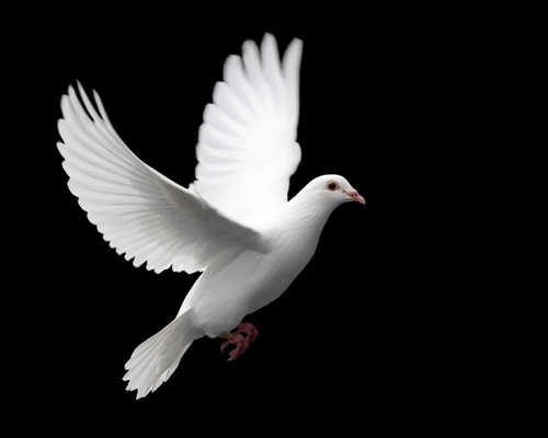 Follower of Christ/Saved From Sin/A Mouthpiece for God!