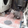 llrfukudakeigo's profile picture. LLRというコンビでお笑い芸人をしています、福田です。気になった方は是非劇場に!!