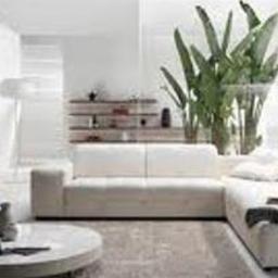 Hire the very best carpet and upholstery cleaning service, entirely green 
Allergan-X is the Twin Cities leading Green Carpet and Upholstery cleaning service