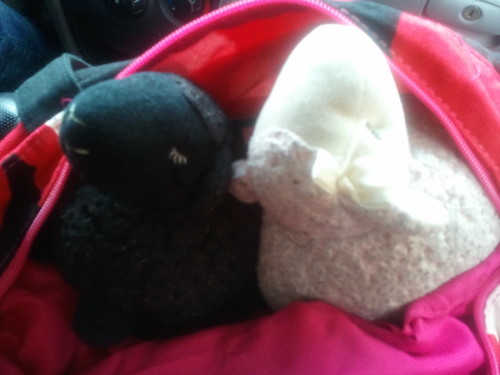 Lambssheepmace's profile picture. Lambs Sheep Mace. Leadership. Integrity. Wool.