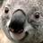 Mexevo's profile image