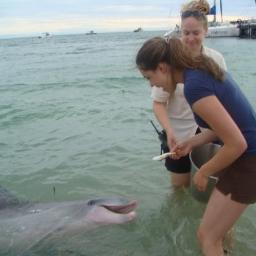 I am a 25 year old who loves all things traveling! Follow me here and check out my blog :)!