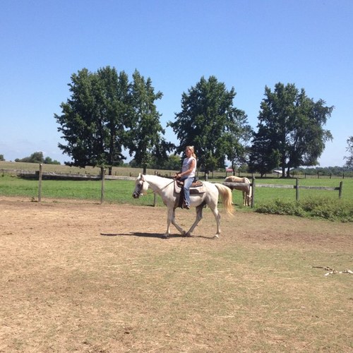 Christ 1rst, wife, mom, equine facility owner, conservative, MAGA🚫DM
