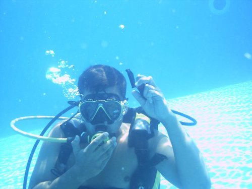 borjarafa's profile picture. 