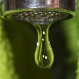 Buscado los brotes verdes en estos tiempos convulsos que nos han tocado vivir