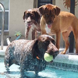 GarrettDeGroot's profile picture. Living the dream...