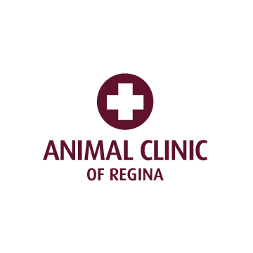 Animal Clinic of Regina is a full service veterinary practice in Regina, SK specializing in small animal health care. Call 306-525-5244 for best service!