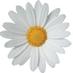 @open_health_hub (@open_health_hub) Twitter profile photo