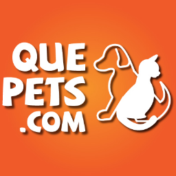 Amamos a los animales y los ayudamos educando a la gente. ¡Pon tu granito de arena compartiendo y difundiendo este proyecto! / (Tweets by @miguelsalas)