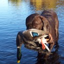 Eric Vaughan - @elvaugh - Twitter