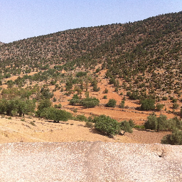 bodewijne's profile picture.