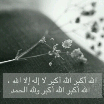 ‏‏‏‏‏‏أغرسوا لكم في الجنة غرساً لا تُذهبه الريح ولا تتلفه الشمس بـ: سبحان الله والحمد لله ولا إله إلا الله والله أكبر.