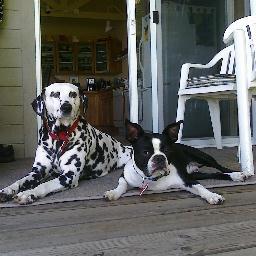 wiz1301's profile picture. Frustrated WSU Cougar alumni and fan...oh, and I also put stuff on TV and in Feature Films.