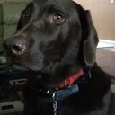 Samantha Skipper - @S_Skipper - Twitter