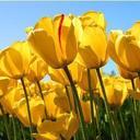 blanca arelis perez - @blanquiarelis - Twitter