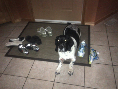 traceypocketrkt's profile picture. Loving all things Ultra & Swim Run.Physiotherapist helping get everyone to the start AND finish line! #F2CNutrition Ambassador #postpartumfitness #kidsrmyworld