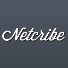 Netcribe - это новый формат поглощения актуальной информации об информационных технологиях, бизнесе, маркетинге и дизайне